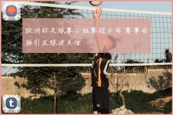 欧洲杯足球赛小组赛程公布 赛事安排引发球迷关注