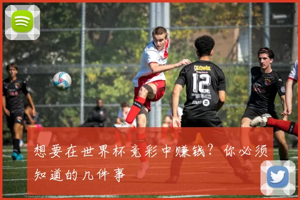 想要在世界杯竞彩中赚钱?你必须知道的几件事