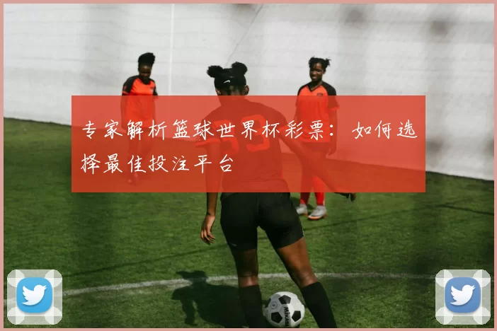 专家解析篮球世界杯彩票:如何选择最佳投注平台