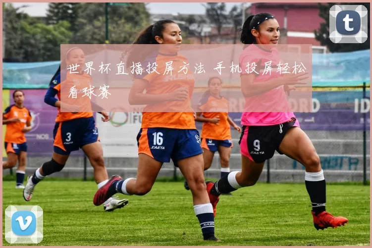世界杯直播投屏方法 手机投屏轻松看球赛