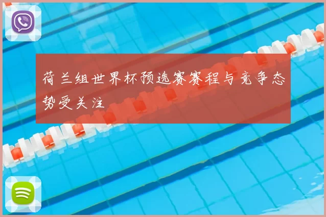 荷兰组世界杯预选赛赛程与竞争态势受关注