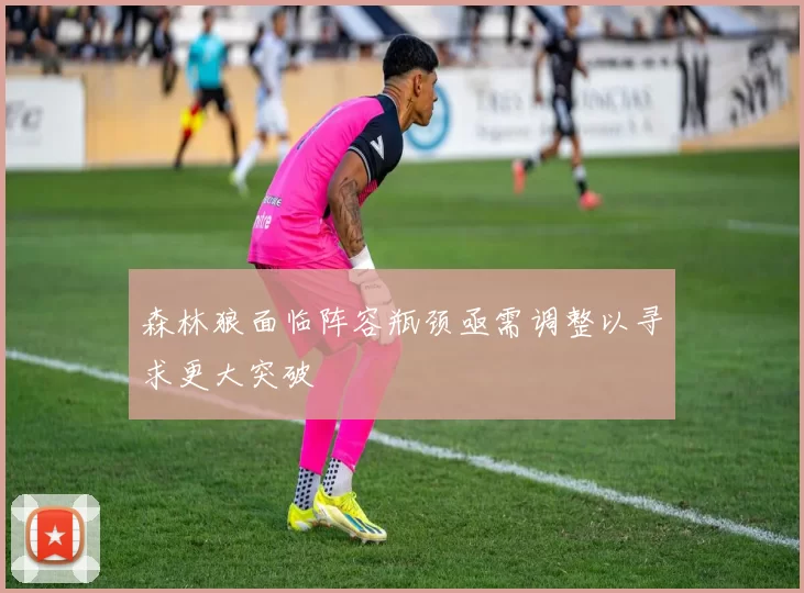 森林狼面临阵容瓶颈亟需调整以寻求更大突破