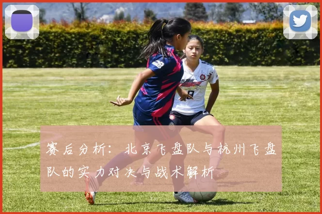 赛后分析:北京飞盘队与杭州飞盘队的实力对决与战术解析