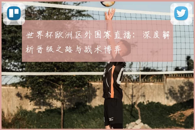 世界杯欧洲区外围赛直播:深度解析晋级之路与战术博弈
